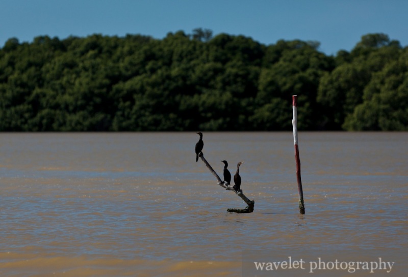 Celestún Wildlife Refuge
