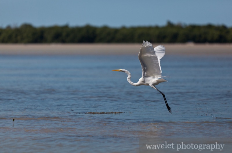 Celestún Wildlife Refuge