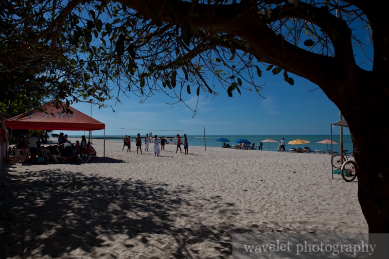 the Gulf of Mexico Coast at Celestun