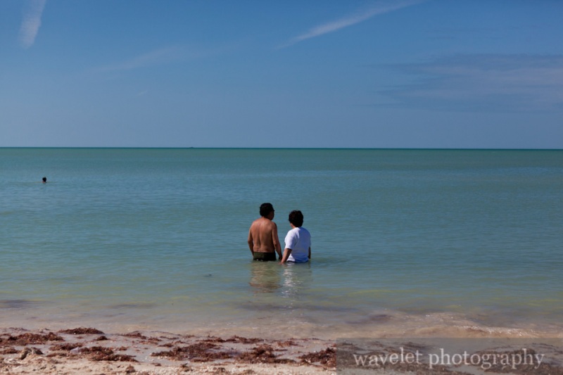 the Gulf of Mexico Coast at Celestun