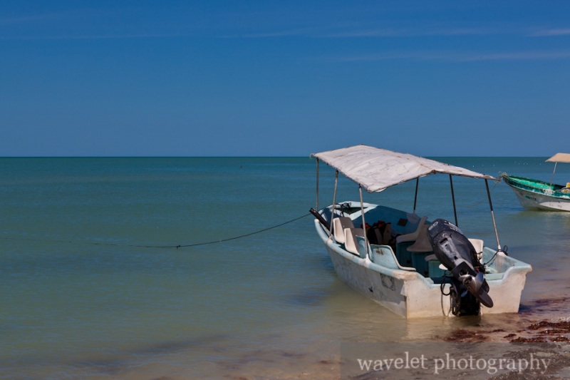 the Gulf of Mexico Coast at Celestun