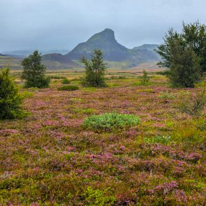 Read more about the article Iceland Highland Trek – Emstrur to Þórsmörk