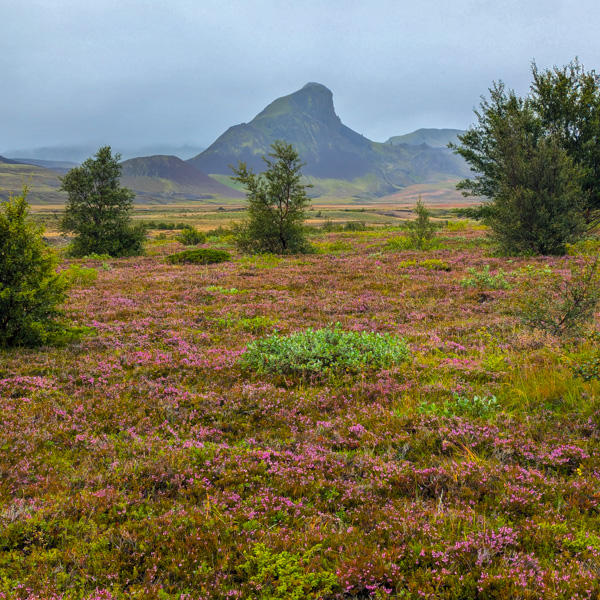 Iceland Highland Trek – Emstrur to Þórsmörk